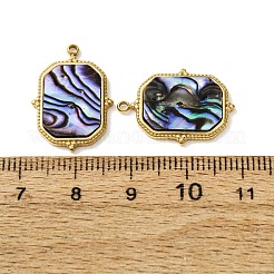 303 Stainless Steel & Natural Paua Shell Pendants&nbsp;SH-CBA1E47-01G