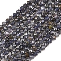 Natural Iolite Beads Strands&nbsp;G-RM250101-D7