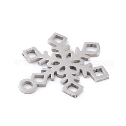 Non-Tarnish 201 Stainless Steel Pendants&nbsp;STAS-K003-13P-01