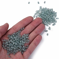 Transparent Czech Glass Seed Beads&nbsp;SEED-N004-005-C05