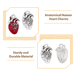 60Pcs 2 Style Tibetan Style Alloy Pendants&nbsp;FIND-DC0003-50