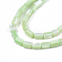 天然トロチッドシェル/トロカスシェルビーズ連売り  染め  コラム  アクアマリン  4~5x3~3.5mm  穴：0.9mm  約77~78個/連  15.55インチ〜15.75インチ（39.5~40cm）&nbsp;X-SHEL-N003-26-B08