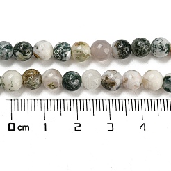 Natural Tree Agate Round Gemstone Beads Strands&nbsp;X-G-R255-6mm