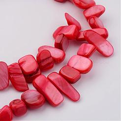 Natural Shell Bead Strands&nbsp;BSHE-P020-M