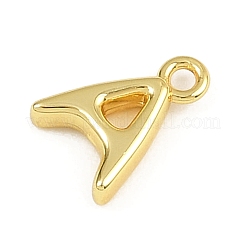 Stainless Steel Charms&nbsp;KK-I352-02G-1