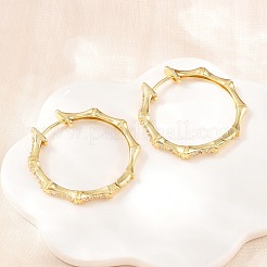Brass Micro Pave Cubic Zirconia Hoop Earrings&nbsp;EJEW-P346-07G-01