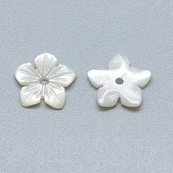 Natural White Shell Beads&nbsp;SSHEL-S260-006