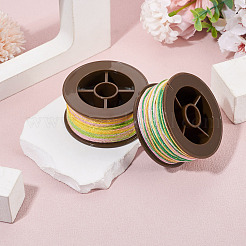 2 Rolls 2 Colors Segment Dyed Round Polyester Twisted Cords&nbsp;OCOR-TA0003-65A
