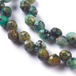 Natural African Turquoise(Jasper)  Beads Strands&nbsp;G-H243-10