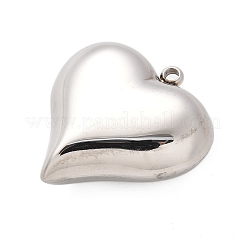 304 Stainless Steel Pendants&nbsp;STAS-Q349-02D-P