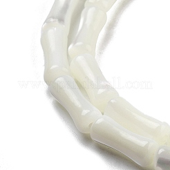 天然トロチッドシェル/トロカスシェルビーズ連売り  竹の共同  ホワイトスモーク  12x4.8mm  穴：0.6mm  約33個/連  15.35''（39センチメートル）&nbsp;BSHE-G038-03