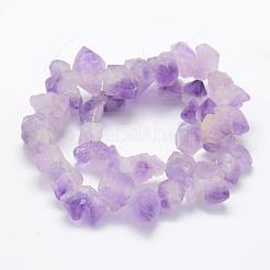 Natural Amethyst Beads Strands&nbsp;G-P322-09