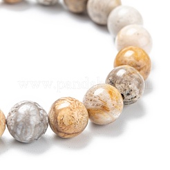 Natural Fossil Coral Stretch Beaded Bracelets&nbsp;G-A185-01X