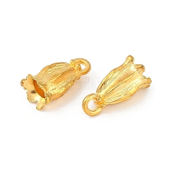 Alloy Pendants&nbsp;PALLOY-R006-01G