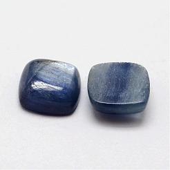 Square Natural Kyanite/Cyanite/Disthene Cabochons&nbsp;G-O148-01B