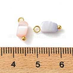 Rainbow Color Dyed Natural Freshwater Shell Pendants&nbsp;PALLOY-JF05544