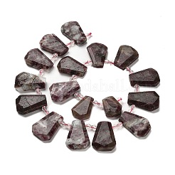 Natural Plum Blossom Tourmaline Beads Strands&nbsp;G-H078-A01-01