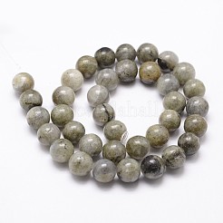 Natural Labradorite Bead Strands&nbsp;G-G735-29-6mm