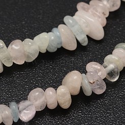 Chips Natural Colorful Morganite Beads Strands&nbsp;G-N0164-59