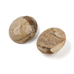 Natural Picture Jasper Cabochons&nbsp;G-Q186-01A
