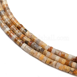 Natural Crazy Agate Beads Strands&nbsp;G-H230-82