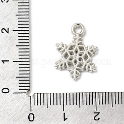 CCB Plastic Pendants&nbsp;CCB-I007-08P