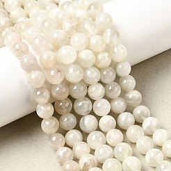 Natural White Moonstone Beads Strands&nbsp;G-F674-08-8mm-01