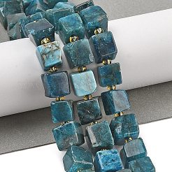 Natural Apatite Beads Strands&nbsp;G-G053-B18-04