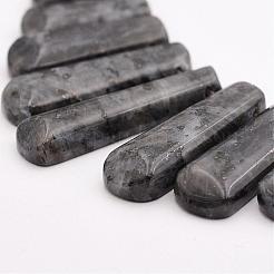 天然ラルビカイトビーズ連売り  段階的なファンペンダント  焦点ビーズ  16~39x9.5~10x5mm  穴：1mm  11個/連  3.27インチ&nbsp;G-P298-J01
