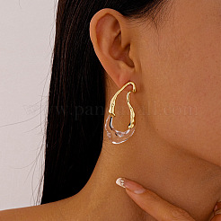 Irregular Brass & Resin Hammered Frame Stud Earrings for Women&nbsp;WG5EB90-01