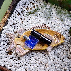 魚の樹脂製ジュエリープレート  指輪収納トレー  ネックレス  ピアス  ゴールド  197x104x15mm&nbsp;PW-WG8244C-01