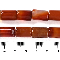 天然石赤瑪瑙ビーズ連売り  染め＆加熱  コラム  15x9.5~10mm  穴：2mm  約27個/連  16.14''（41センチメートル）&nbsp;G-NH0019-A03-04