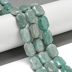 Natural Amazonite Beads Strands&nbsp;G-P544-B09-01