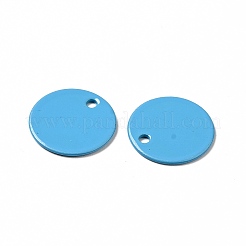 スプレー塗装された201ステンレススチールチャーム  フラットラウンドのチャーム  ミックスカラー  12x1mm  穴：1.2mm&nbsp;STAS-G304-13