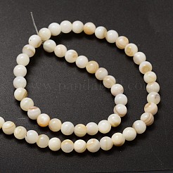 天然淡水シェルラウンドビーズ連売り  6mm  穴：1mm  約62個/連  14.5インチ&nbsp;X-SHEL-M013-01