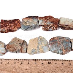 天然寿山石スライスビーズ連  ナゲット  21~42x17~37x4~7mm  穴：0.5~1.4mm  約12~13個/連  14.57~15.75インチ（37~40cm）&nbsp;G-Q616-04A