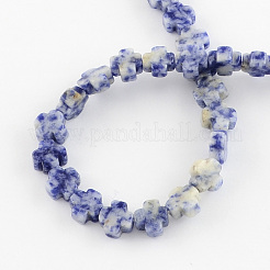 Natural Blue Spot Jasper Beads Strands&nbsp;G-R182-10