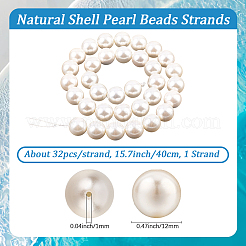 1 Strand AB Color Plated Shell Pearl Round Beads Strands&nbsp;BSHE-LT0001-01
