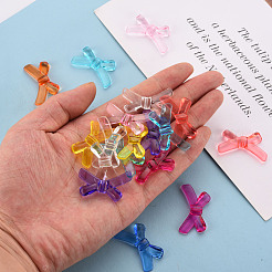 Transparent Acrylic Beads&nbsp;TACR-S154-55B