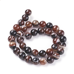 Natural Striped Agate/Banded Agate Beads Strands&nbsp;G-G582-10mm-45