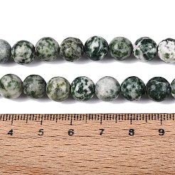 Natural Green Spot Jasper Beads Strands&nbsp;G-Q601-13A-07