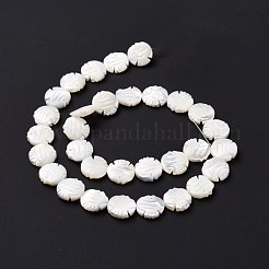天然trochidシェルビーズ連売り  魚  ホワイト  13x13x3.5mm  穴：0.5mm  約31個/連  15.83インチ（40.2cm）&nbsp;SSHEL-G023-16B