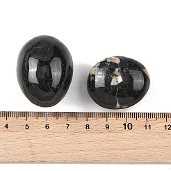 天然トルマリンビーズ  転がった石  穴なし/ドリルなし  ナゲット  20~56x18~30.5x8~28mm&nbsp;G-G348-01B-16