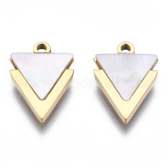 316 Surgical Stainless Steel Charms&nbsp;STAS-N097-043