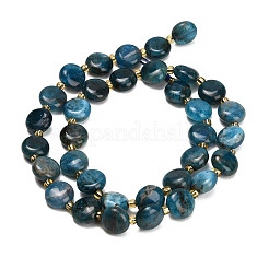 Natural Apatite Beads Strands&nbsp;G-H005-B14-01
