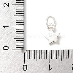 S925 Sterling Silver Pendant&nbsp;LS-STER-H115-04B-S