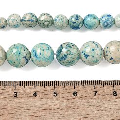 Natural Fossil Graduated Beads Strands&nbsp;G-F830-A03-01E