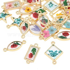 Alloy Epoxy Resin Connector Charms&nbsp;FIND-Z114-02G