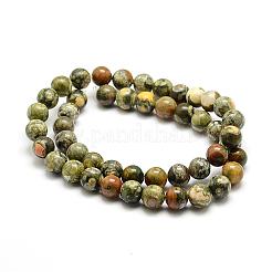 Natural Rhyolite Jasper Bead Strands&nbsp;G-G684-01-10mm