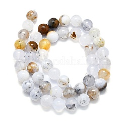 天然な白アフリカオパールビーズ連売り  ラウンド  8mm  穴：0.8mm  約48~52個/連  15.35''~16.54''（39~42センチメートル）&nbsp;G-K245-A18-04